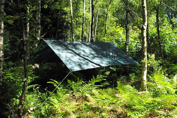 Tarp : les meilleurs tarpaulins pour camper